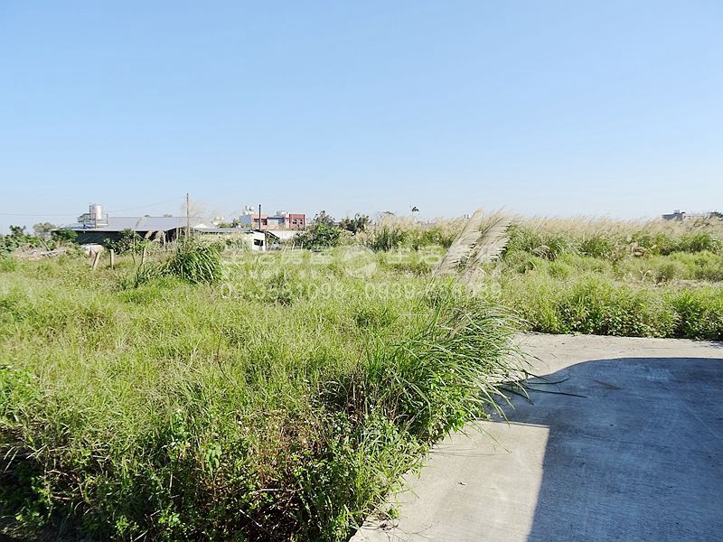 土地出租 觀音忠富段甲建 近忠愛路二段 桃園市觀音區租屋網 免費租售王 土地出租 觀音忠富段甲建 近忠愛路二段 桃園市觀音區租屋網 免費租售王
