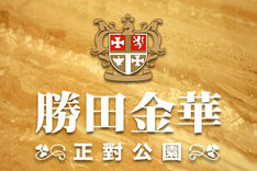 勝田金華 720° 環景