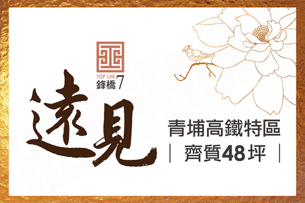 鋒橋7 遠見 桃園新成屋