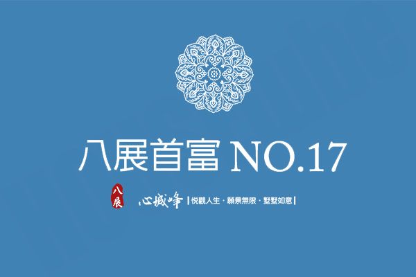八展首富NO.17 八展首富NO.17