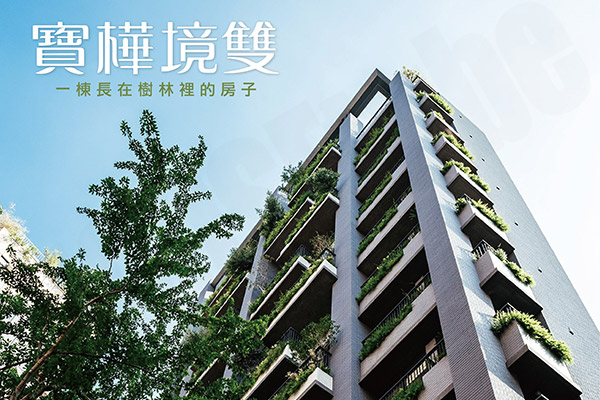 寶樺境雙 寶樺境雙