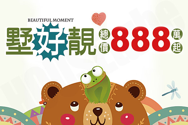 墅好靚 新竹新成屋