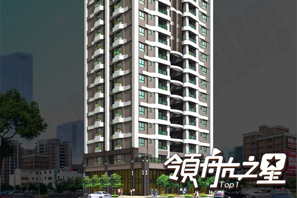 領航之星 桃園建案