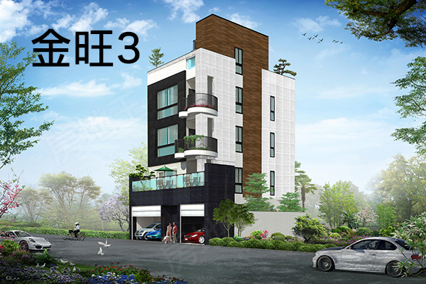 金旺3 台南新成屋