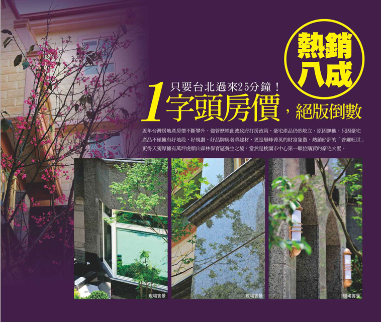 桃園新成屋網站 桃園新成屋網站