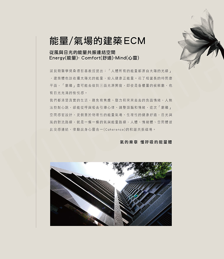 高雄新建屋 高雄新建屋