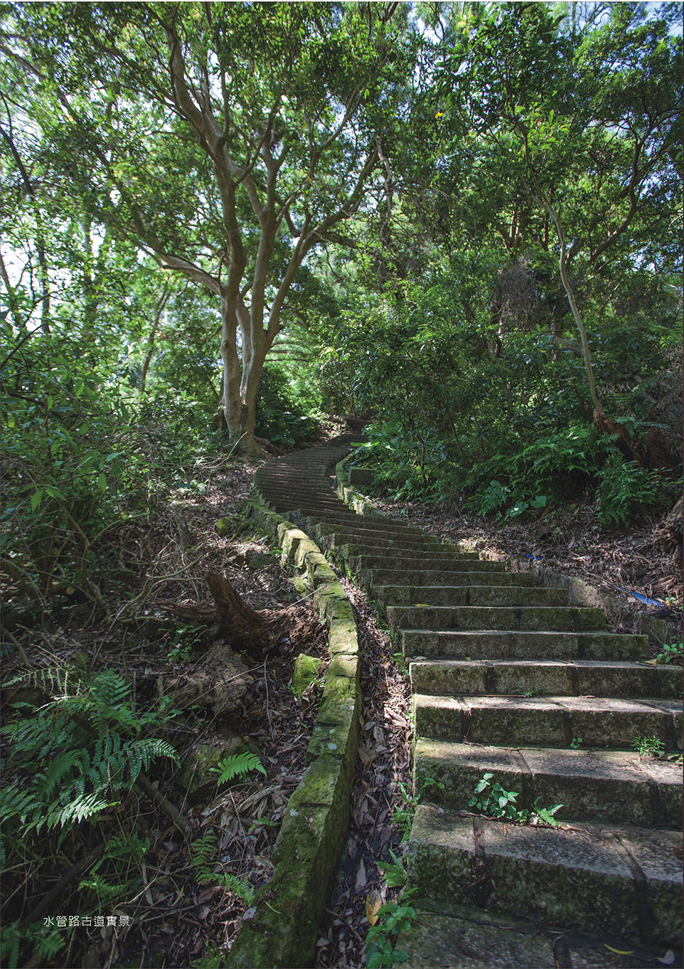 台北新建案 台北新建案