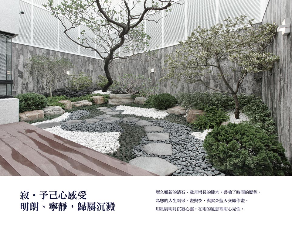 青逸5 青逸5