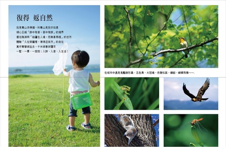 台北成屋 台北成屋