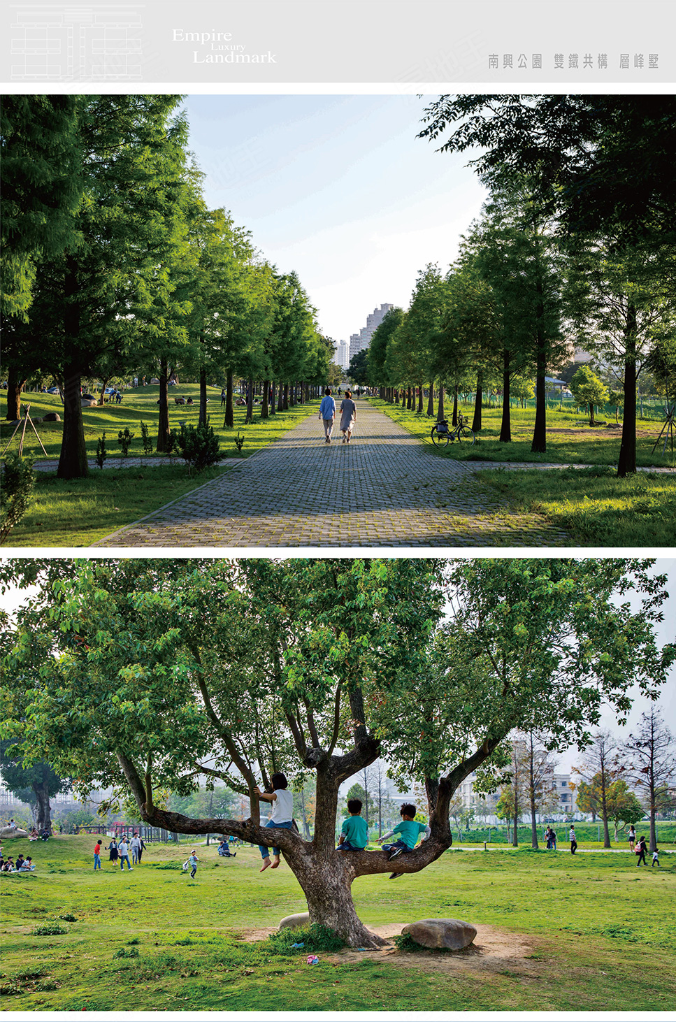 誠總首席雲端 誠總首席雲端