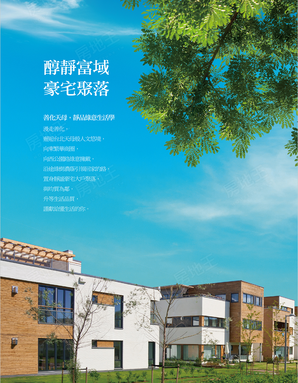 呈豐日日19 呈豐日日19