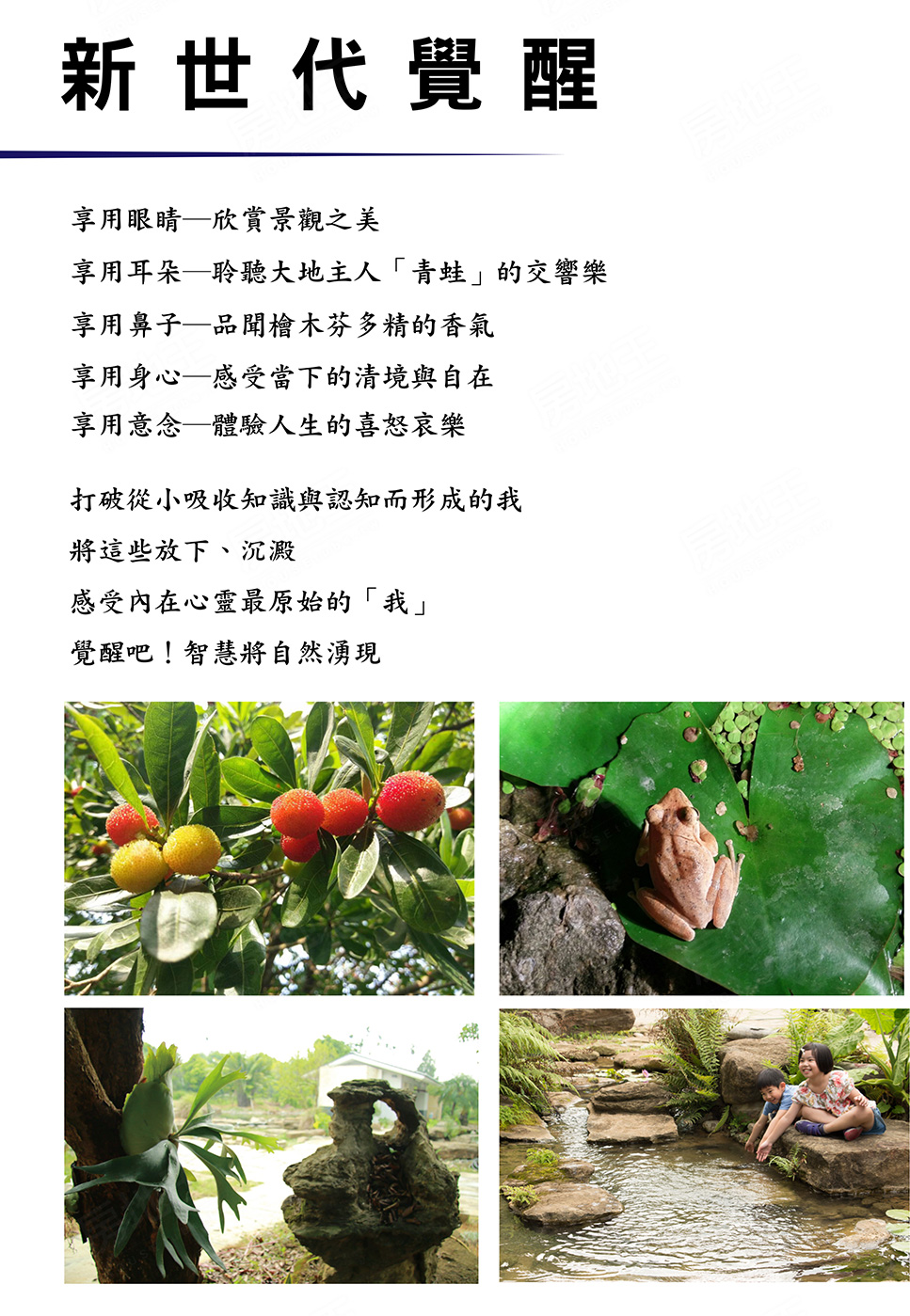 雲嘉新建案 雲嘉新建案