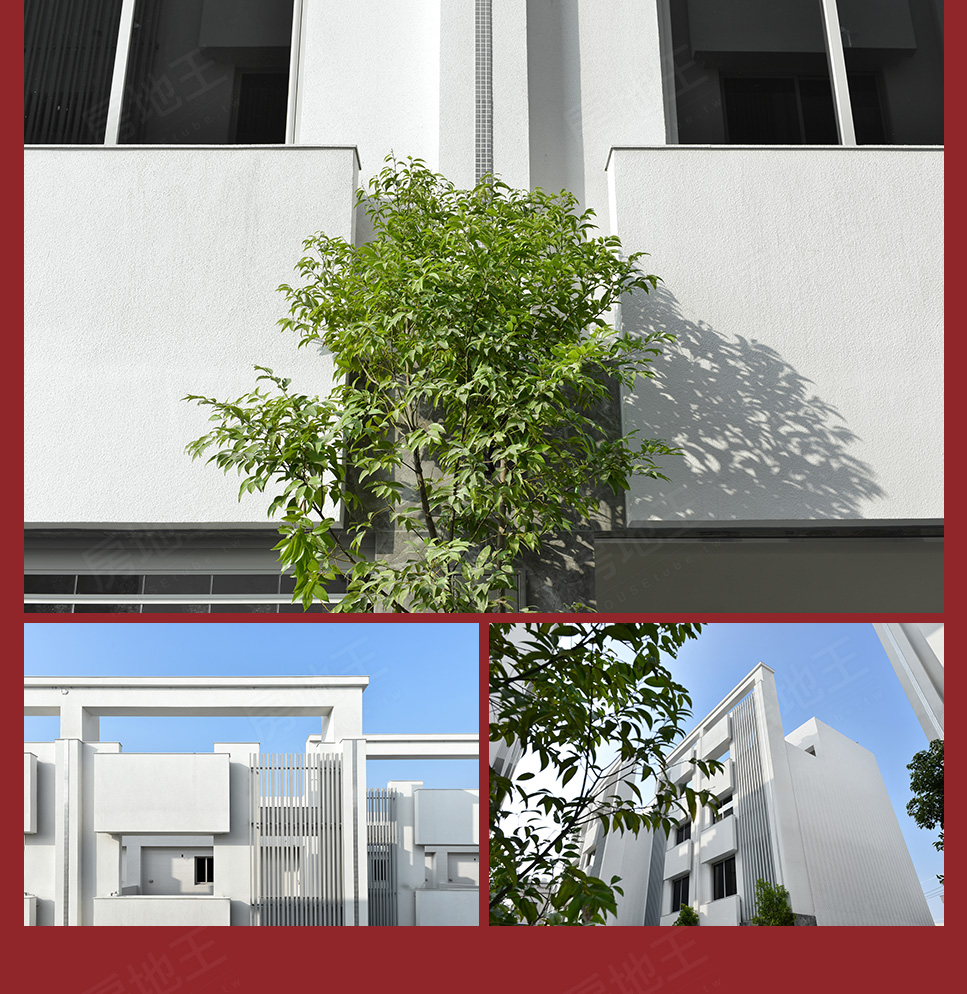 台南新建屋 台南新建屋