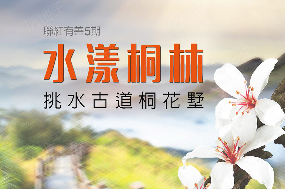 水漾桐林 水漾桐林