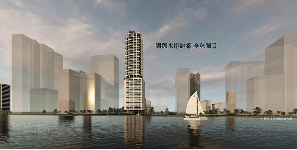 京梧桐 京梧桐