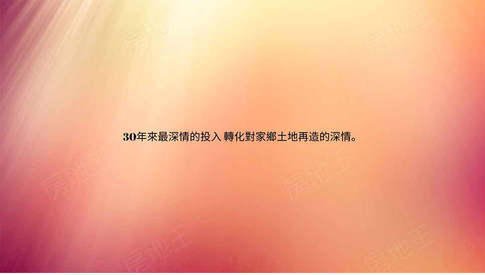 桃園新成屋 桃園新成屋