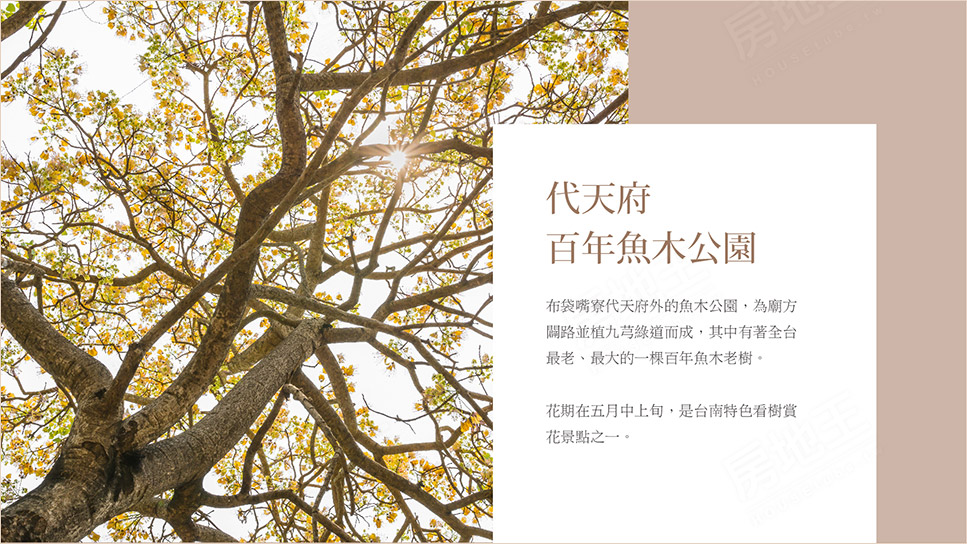 宗大小日子 宗大小日子