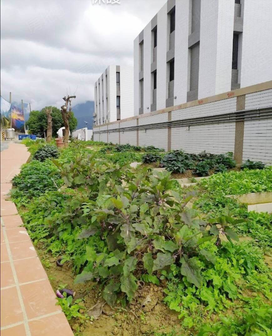 台中新建案查詢 台中新建案查詢