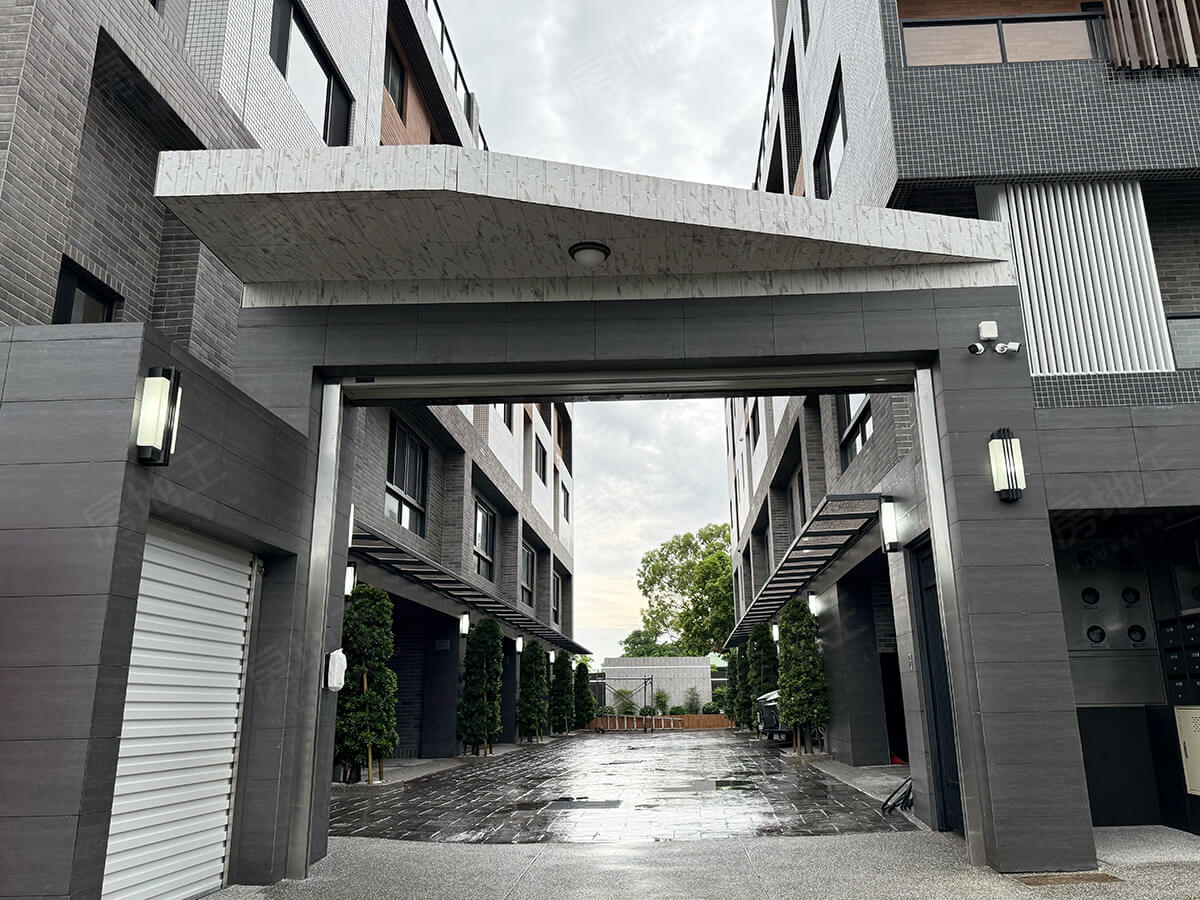 上雋金色朗朗NO.2
