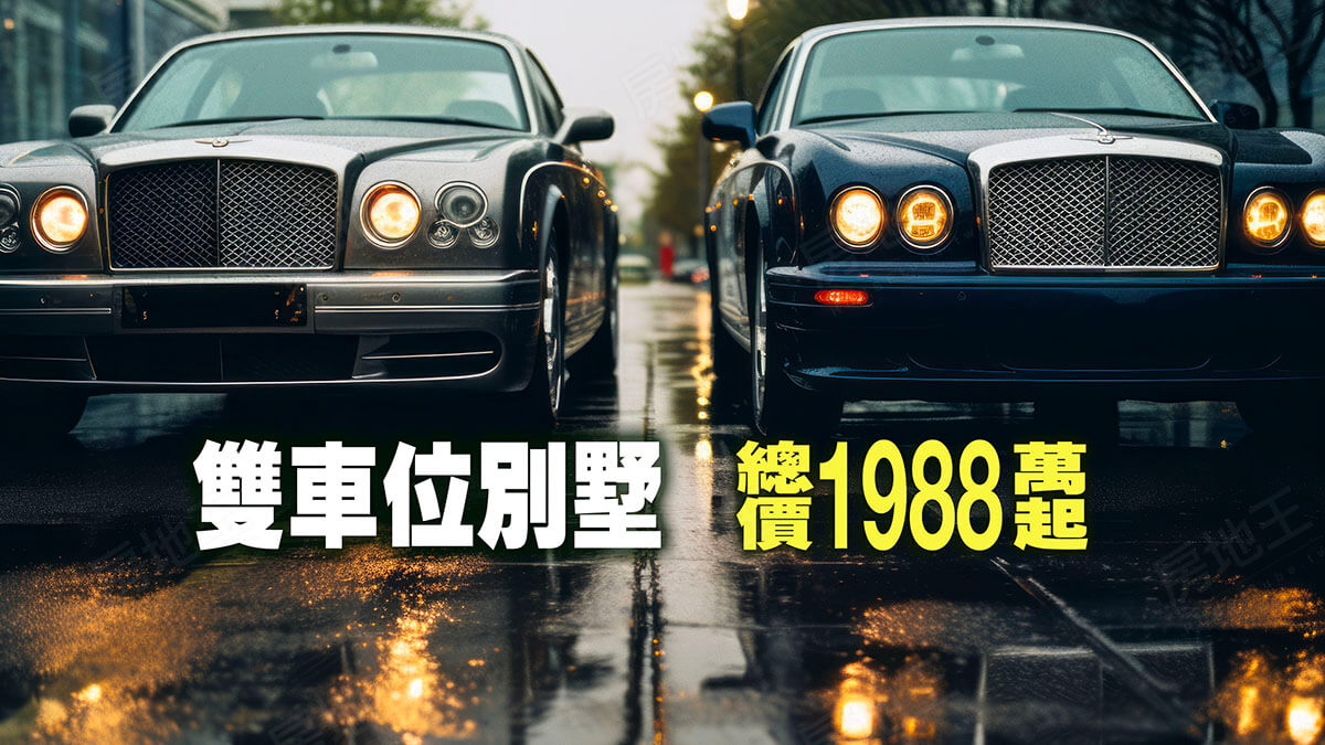上雋金色朗朗NO.2