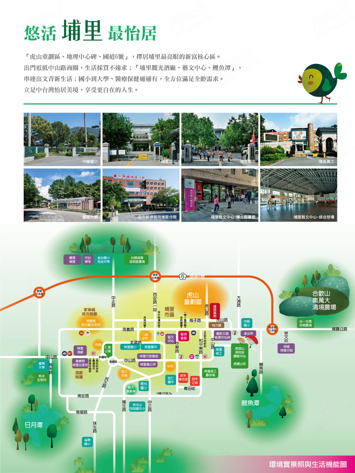 翔禾淳菁 翔禾淳菁