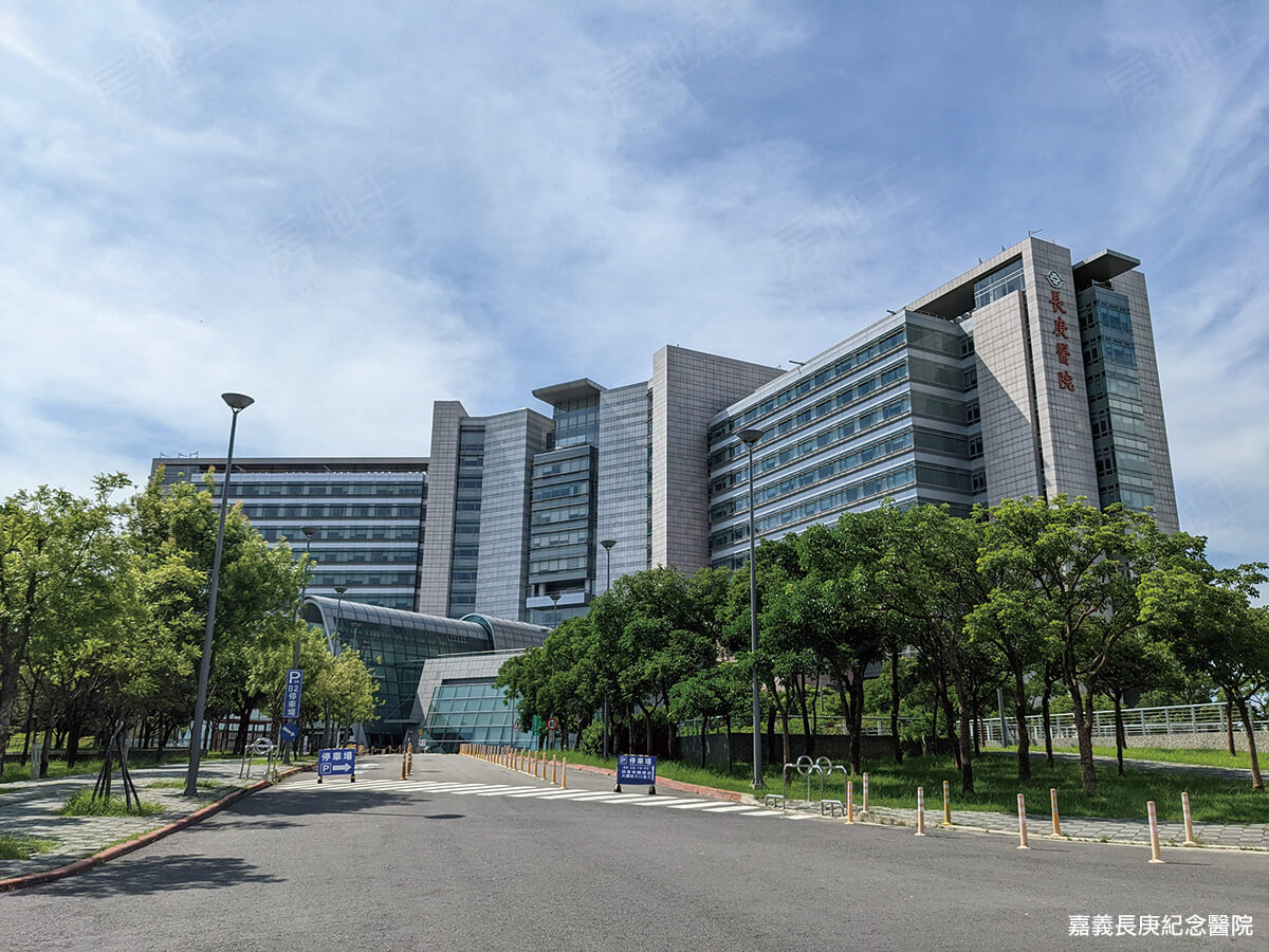桃花新市鎮 桃花新市鎮