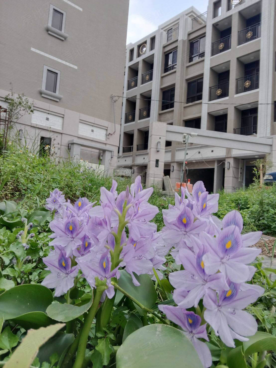 桃園買賣預售屋